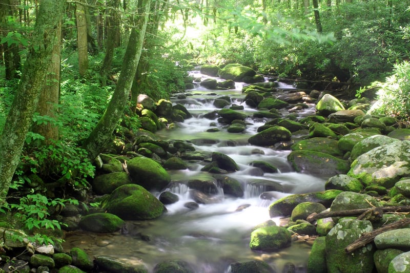 Babbling brooks