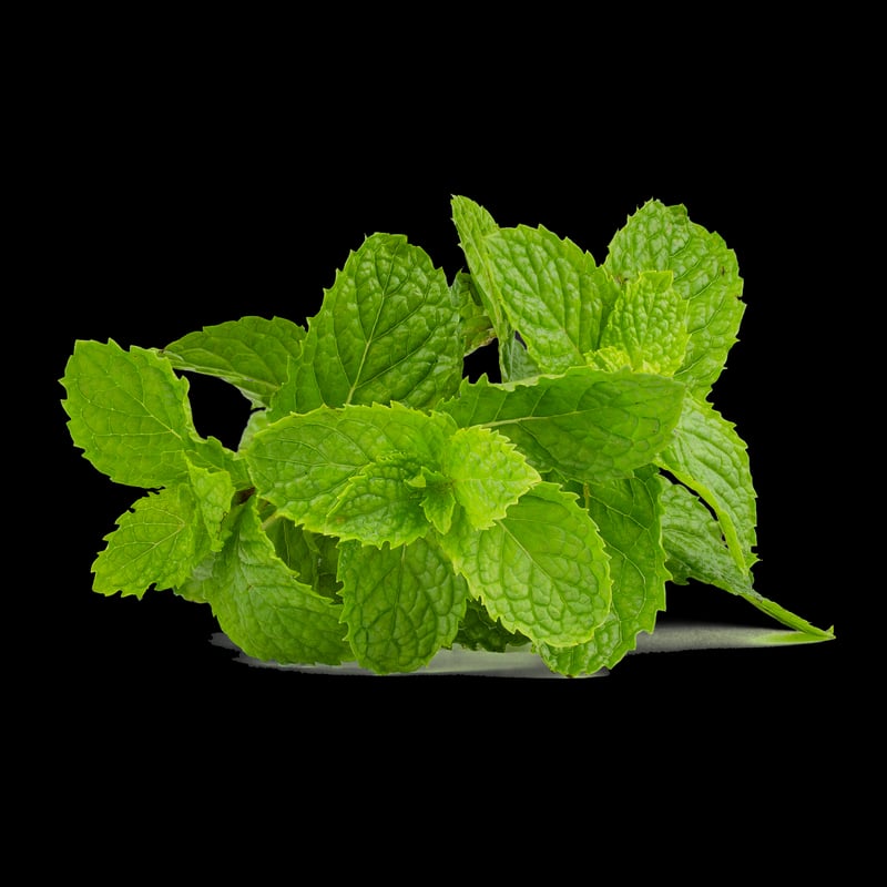 Peppermint
