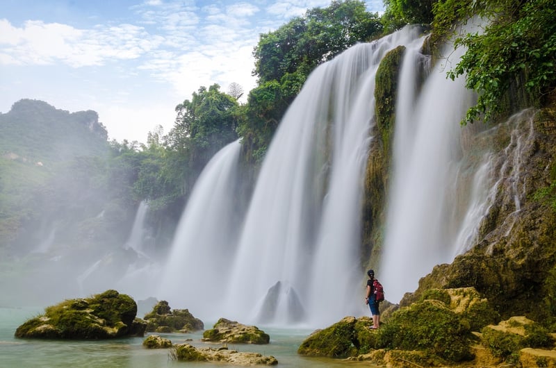 Waterfall in a lush forest